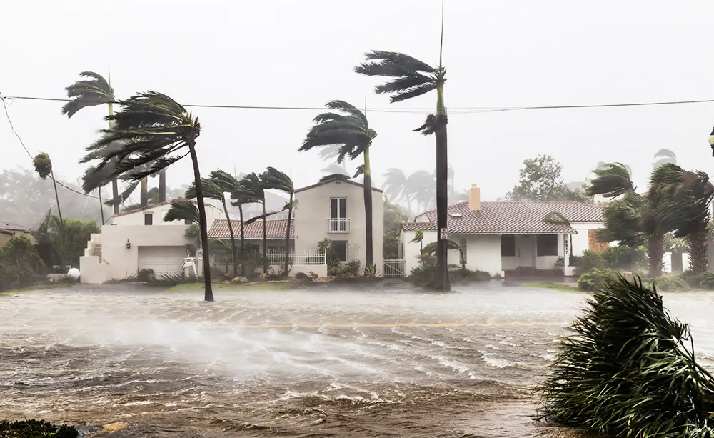 Hurricane Preparedness / Cleanup